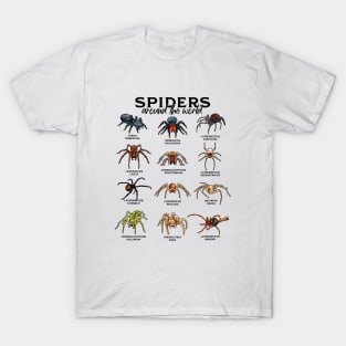 Spiders around the world - spider species T-Shirt